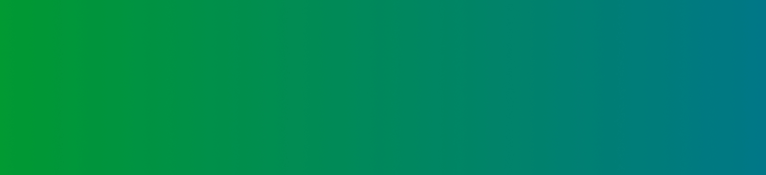 ERASMUS PLUS