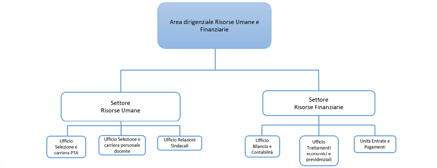 Organizzazione